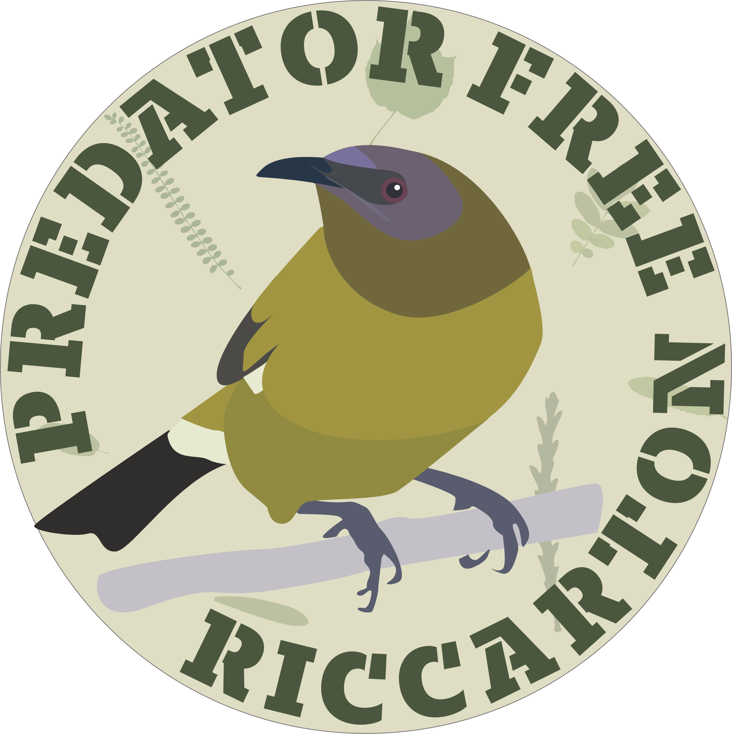 Predator Free Riccarton